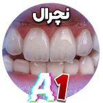 کامپوزیت لیرینگ A1 شید نچرال